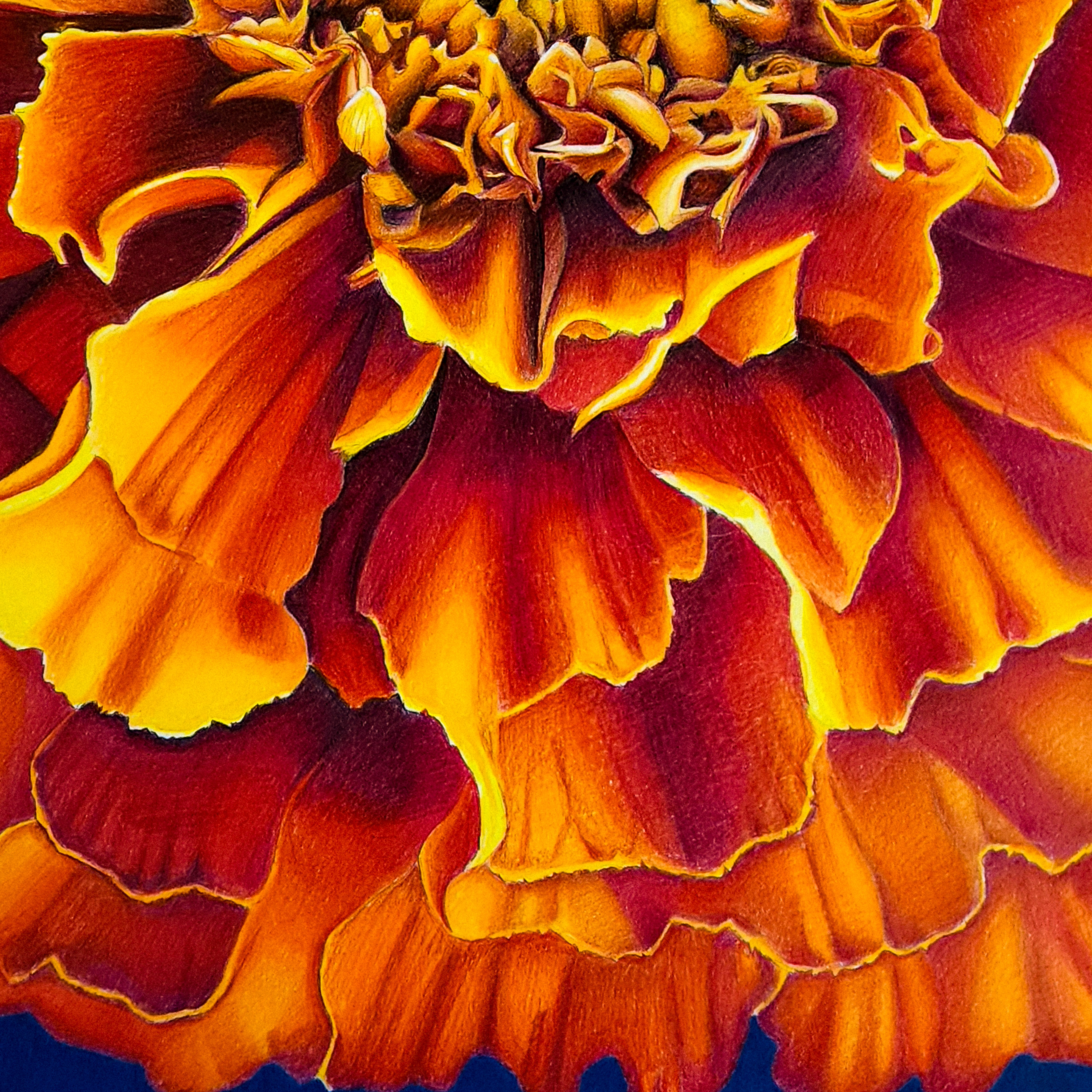 Orange petal detail