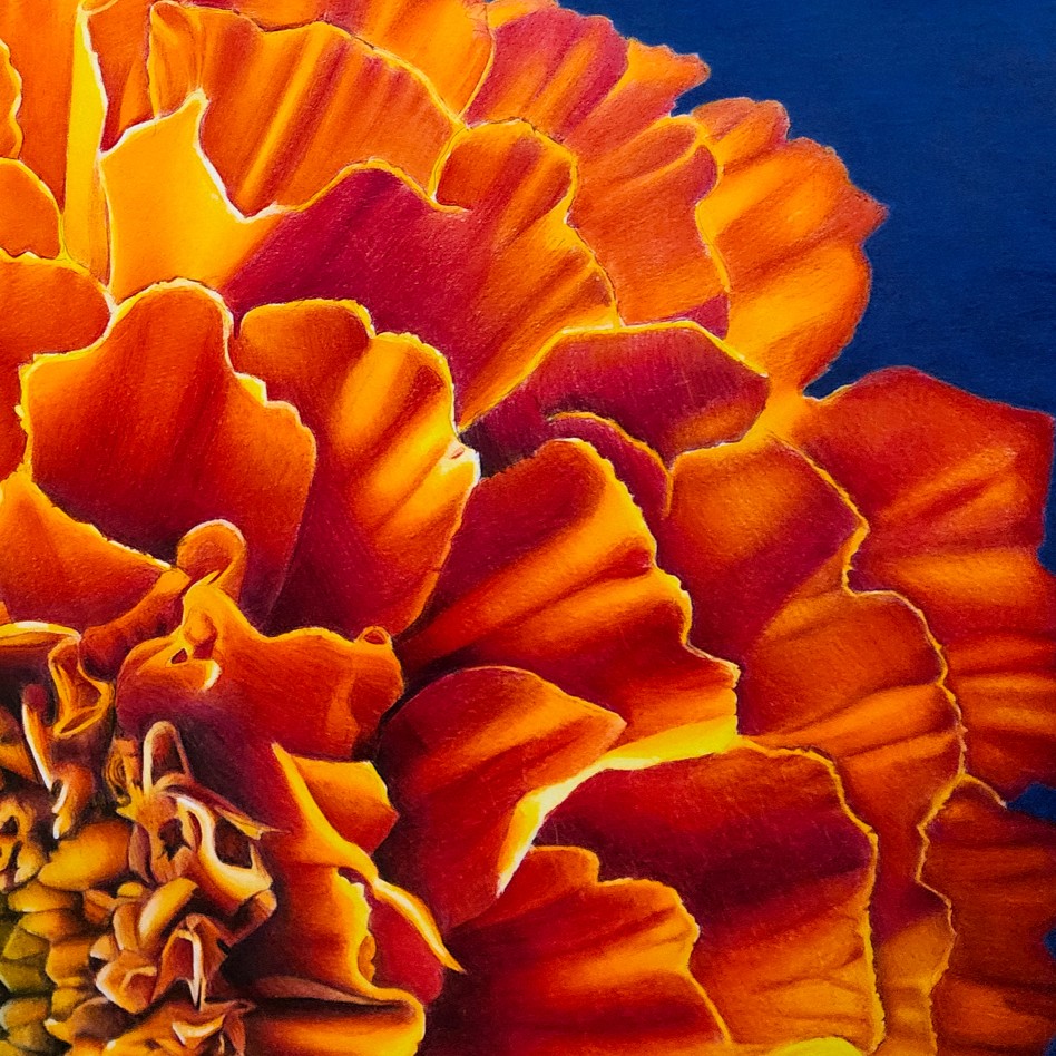 Red shadow detail