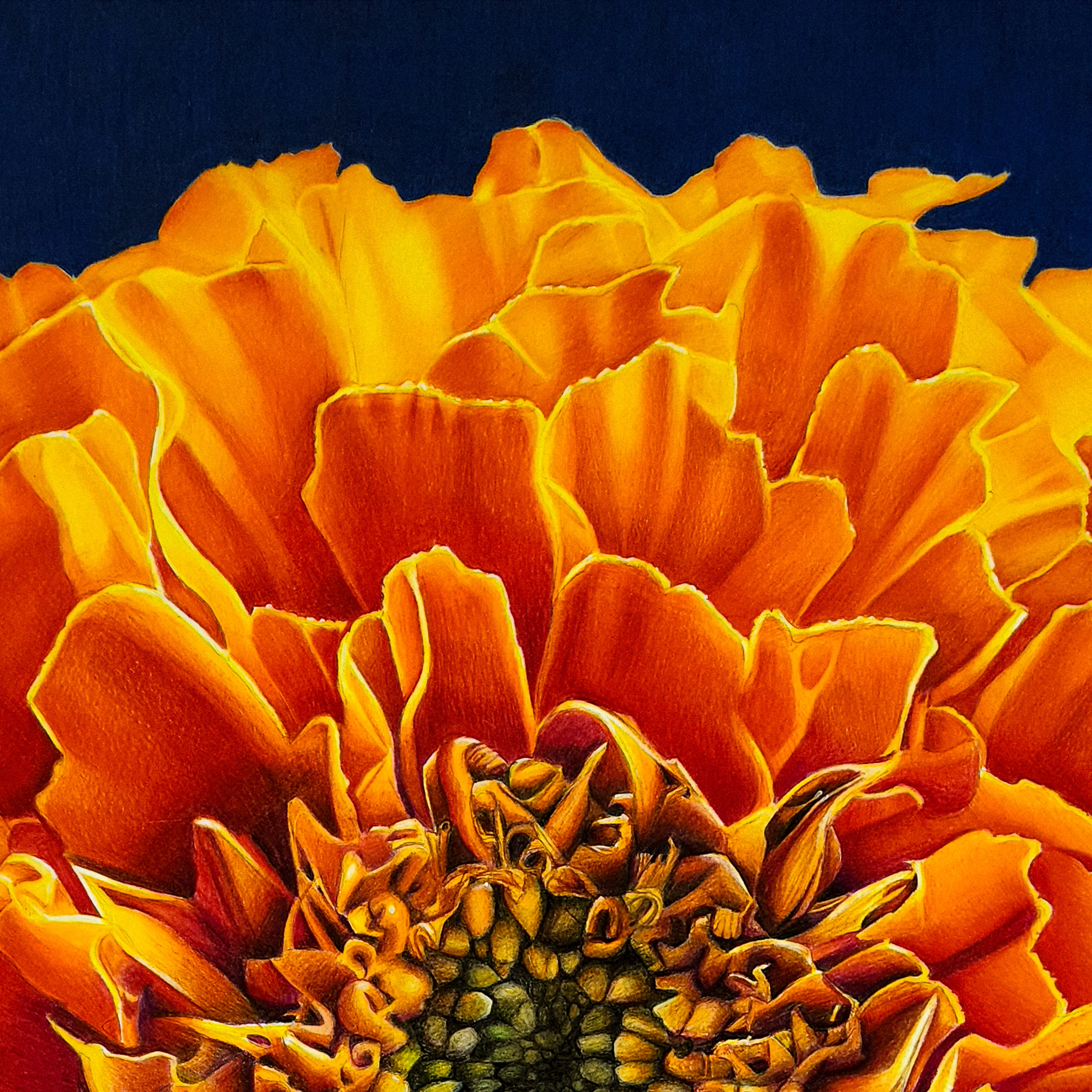 Yellow petal detail