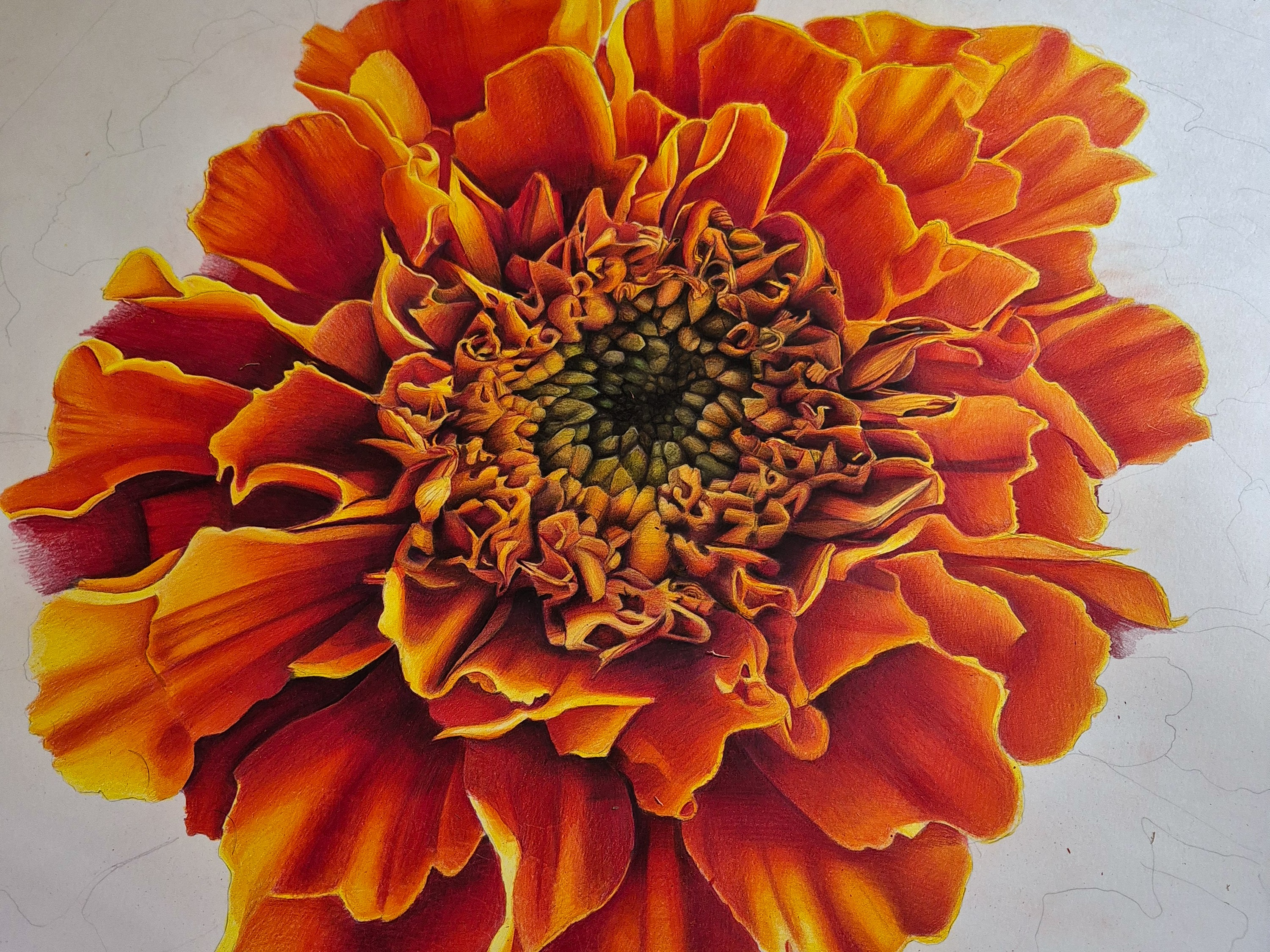First petals