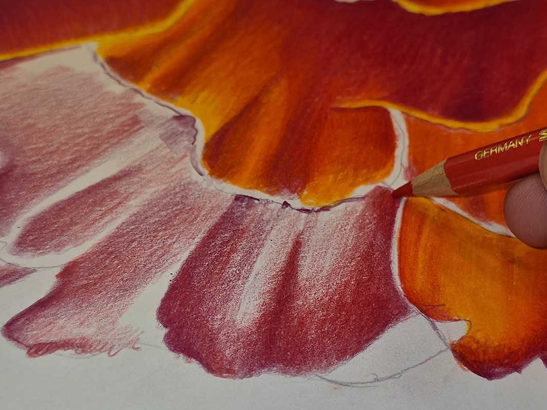 Colour density
