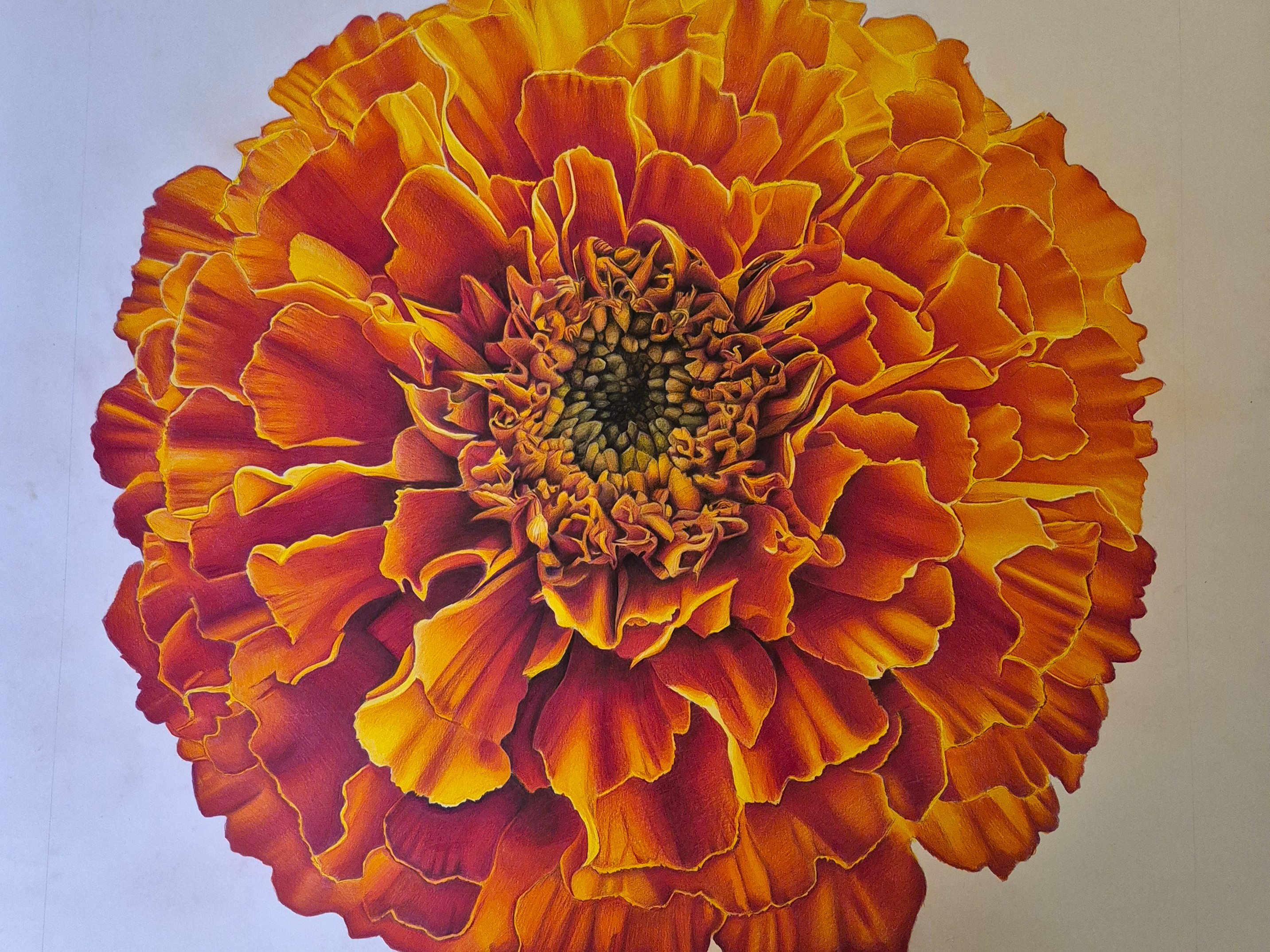 The outer form